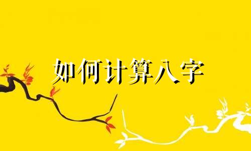 如何计算八字 玄同出生年月日
