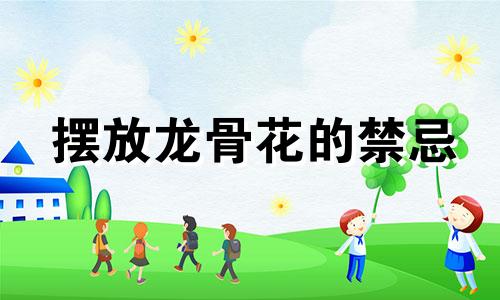 摆放龙骨花的禁忌 植物龙骨风水禁忌全图解