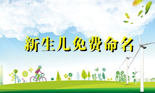 新生儿免费命名 新生儿命名要求100分