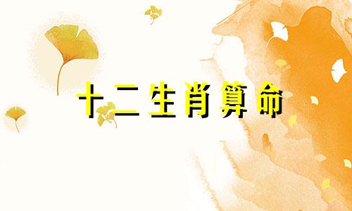 十二生肖算命 算命及婚配