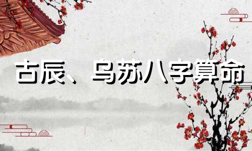 古辰、乌苏八字算命 八字算命先生是什么意思