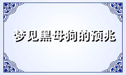 梦见黑母狗的预兆 黑母狗风水禁忌图片欣赏