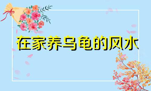 在家养乌龟的风水 宠物乌龟缸的风水禁忌