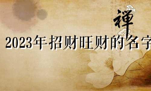 2023年招财旺财的名字