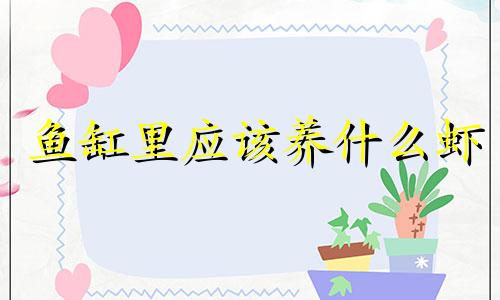 鱼缸里应该养什么虾 养虾风水禁忌全图