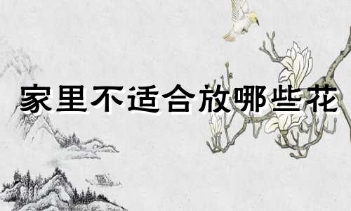 家里不适合放哪些花 家里养花的风水禁忌图片