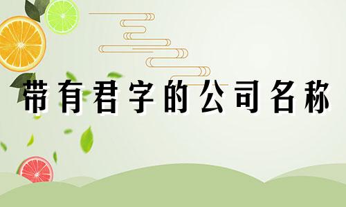 带有君字的公司名称 公司命名技巧