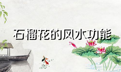 石榴花的风水功能 家中石榴花的风水禁忌有好有坏