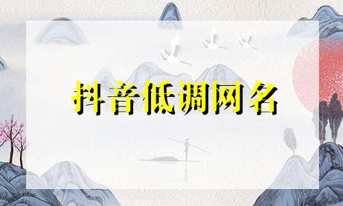 抖音低调网名 抖音网名方法