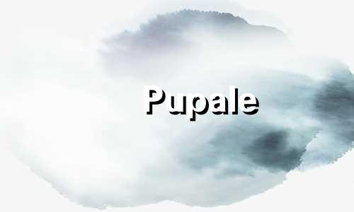 Pupale 的最佳匹配词是 Pupale 和名字的含义。