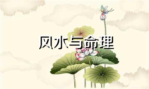 风水与命理 关于风水与命理的问题