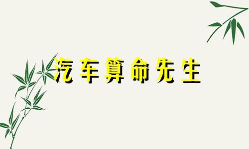 汽车算命先生 一气八字2022年运势汽车、麦玲玲2022年运势完整版