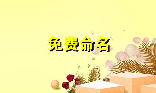 免费命名 2023命名 2023命名方法