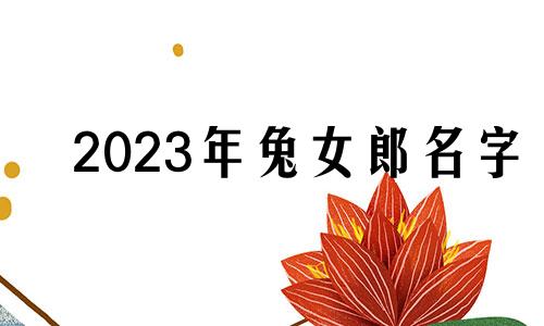 2023年兔女郎名字 2023年兔女郎名字如何选择