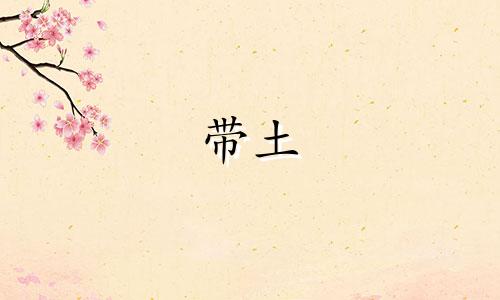 带土 (Obito) 男孩名字大全带土这个名字怎么取？