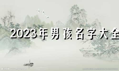 2023年男孩名字大全