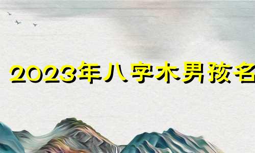 2023年八字木男孩名字 2023年八字木男孩名字
