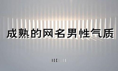 成熟的网名男性气质