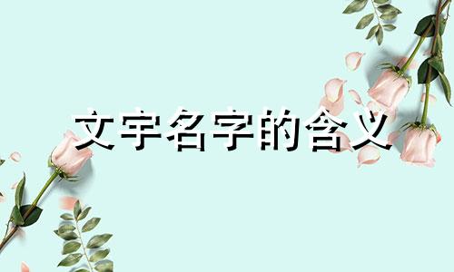 文宇名字的含义