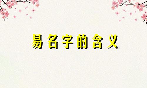 易名字的含义