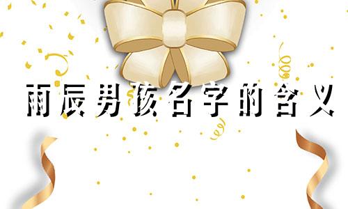 雨辰男孩名字的含义