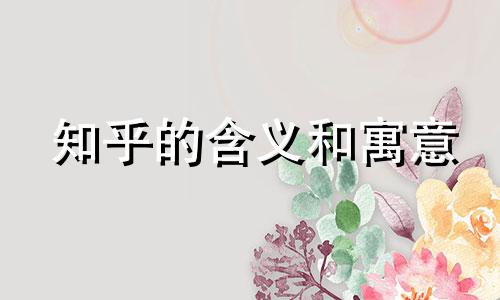 知乎的含义和寓意
