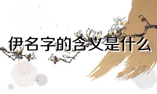 伊名字的含义是什么