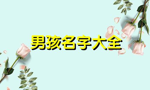 男孩名字大全 男孩名字大全