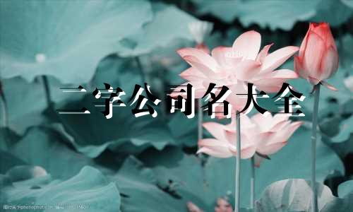 二字公司名大全 好企业名 招财进宝