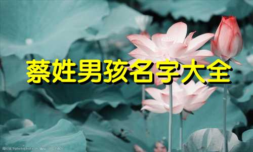 蔡姓男孩名字大全