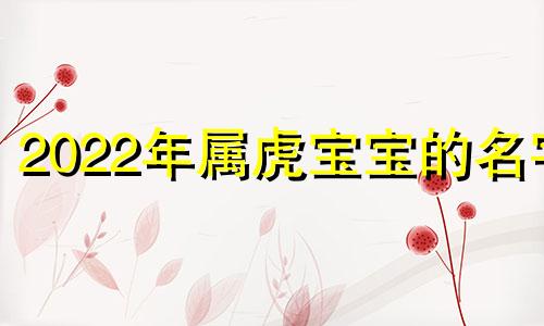 2022年属虎宝宝的名字