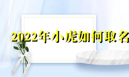 2022年小虎如何取名