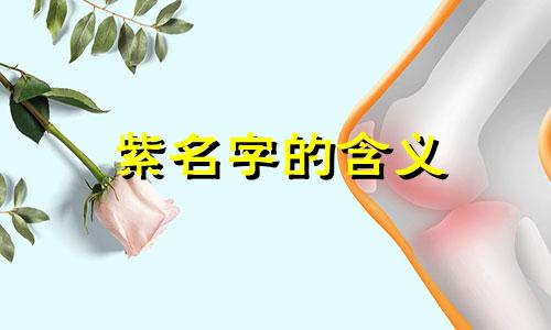 紫名字的含义
