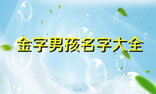 金字男孩名字大全