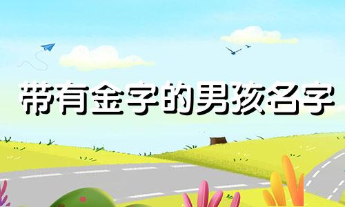 带有金字的男孩名字