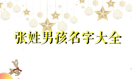 张姓男孩名字大全