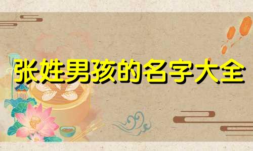 张姓男孩的名字大全