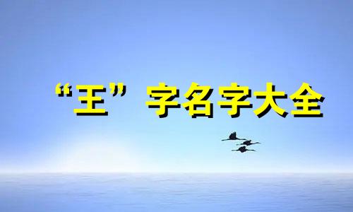 “王”字名字大全