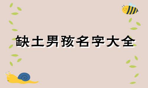 缺土男孩名字大全