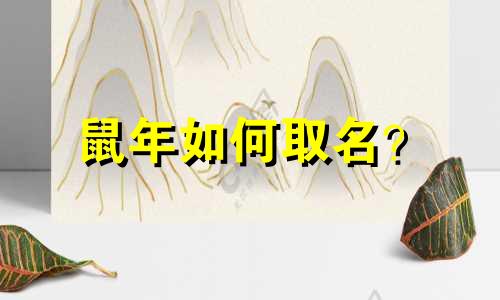 鼠年如何取名？