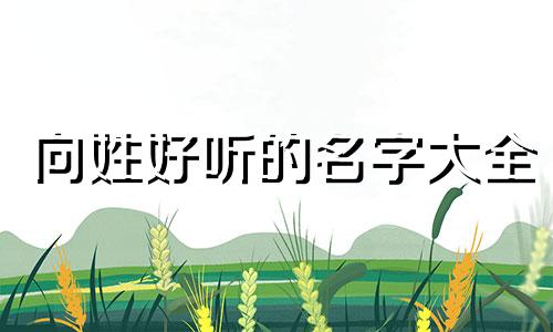 向姓好听的名字大全