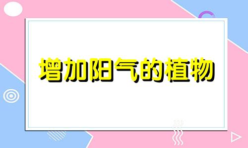 增加阳气的植物 家里可以养的阳气植物