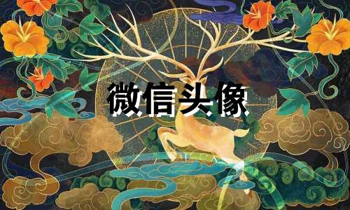 微信头像 王老婆头像