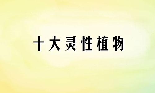 十大灵性植物 具有灵性能量的植物有哪些？