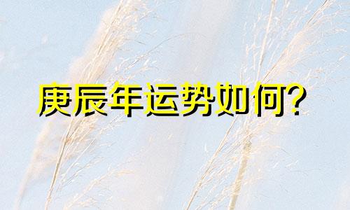 庚辰年运势如何？