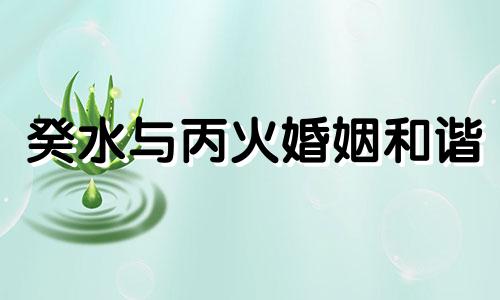 癸水与丙火婚姻和谐