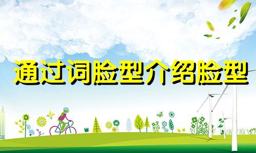 通过词脸型介绍脸型