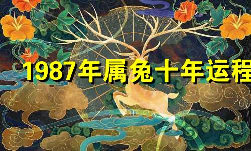 1987年属兔十年运程 查看1987年属兔人最旺的年龄