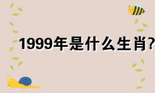 1999年是什么生肖? 2022年今年多少岁了？谁是最好的配偶？