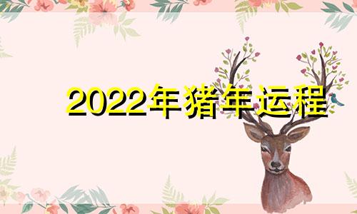 2022年猪年运程